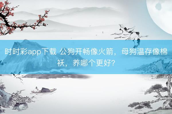 時時彩app下載 公狗開暢像火箭，母狗溫存像棉襖，養(yǎng)哪個更好？