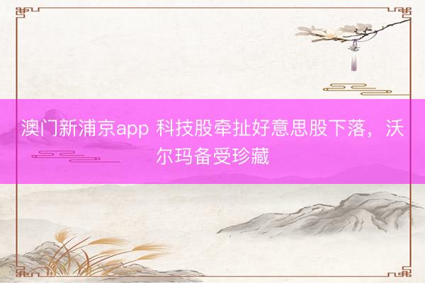 澳門(mén)新浦京app 科技股牽扯好意思股下落，沃爾瑪備受珍藏