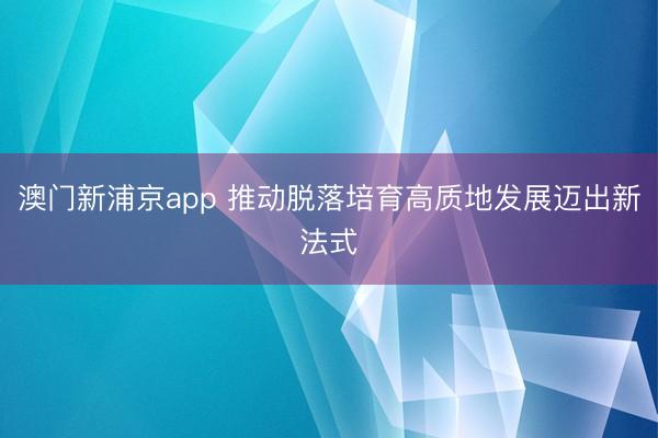 澳門新浦京app 推動脫落培育高質(zhì)地發(fā)展邁出新法式